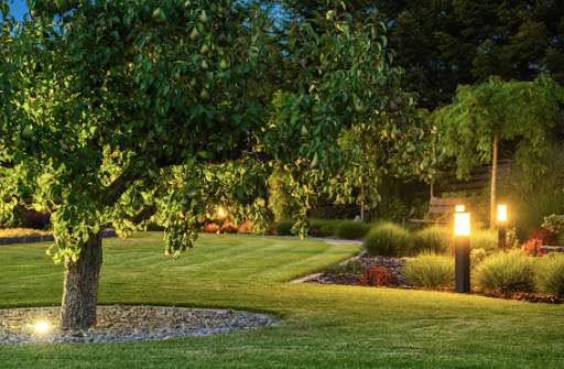 Outdoor Living Spaces