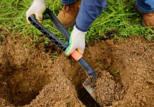 Top 7 Tree and Bed Planting Dos and Don'ts