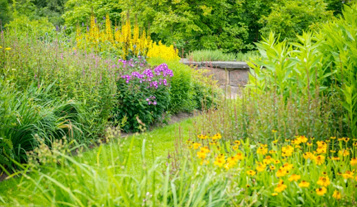 7 Landscaping Ideas For Your House