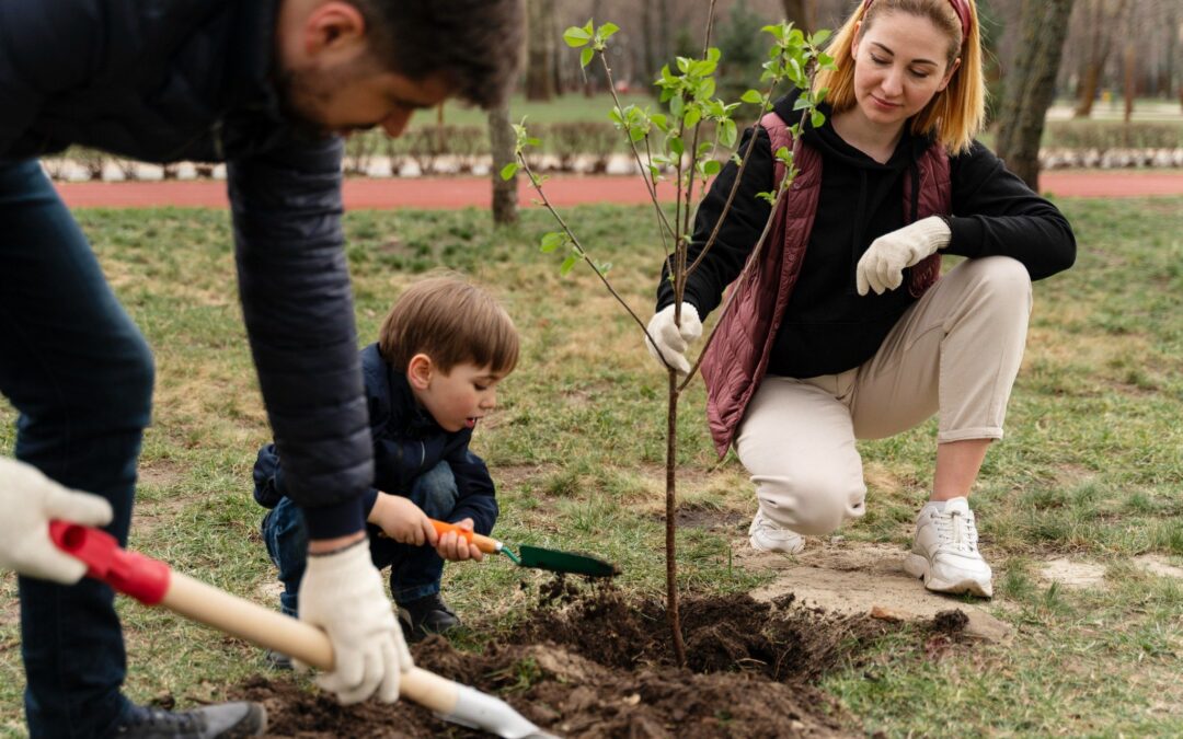 Top 7 Tree and Bed Planting Dos and Don'ts
