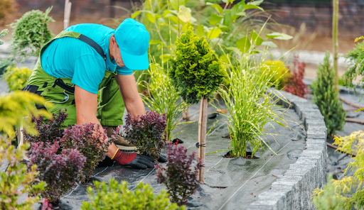 Fall Landscaping Guide for Homes in Northeast Ohio