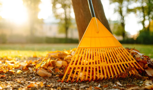 Fall Landscaping Guide for Homes in Northeast Ohio